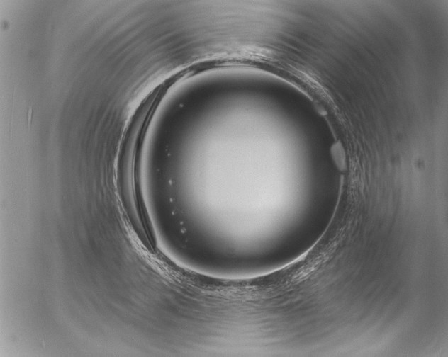 X0000057090936200509091310