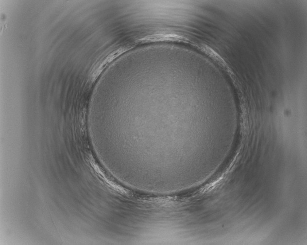 X0000057090937200509091310