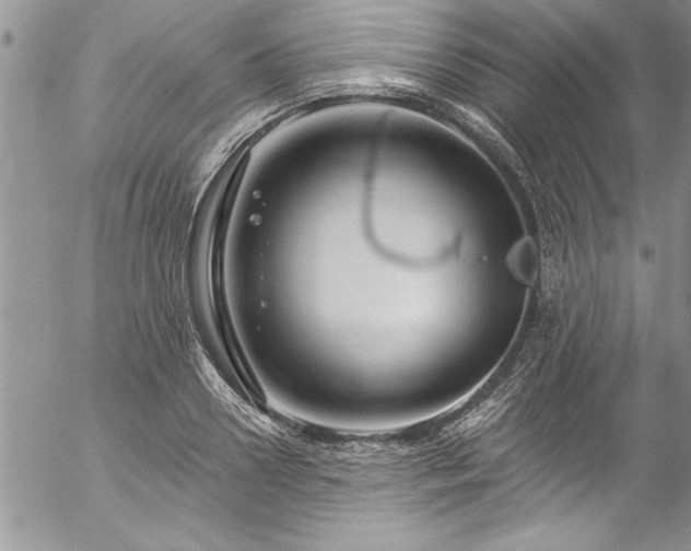 X0000057090938200509091310