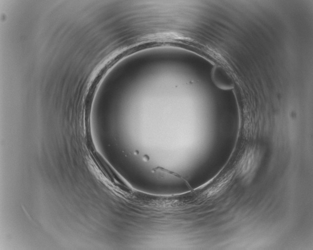 X0000057090939200509091310