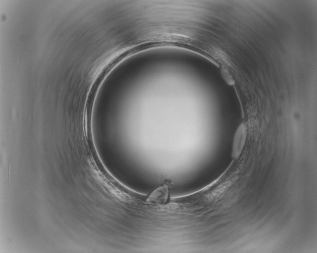 X0000057090940200509091310