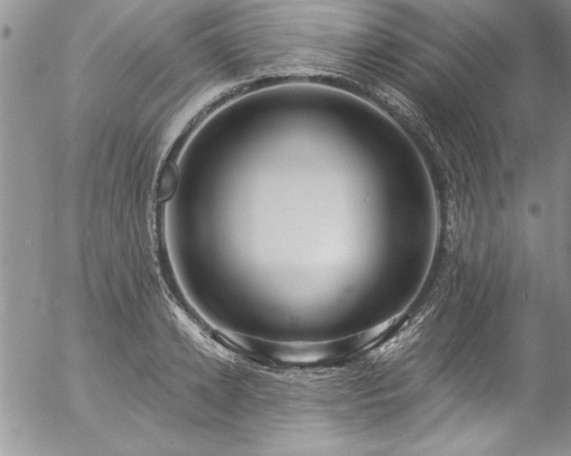 X0000057090942200509091310