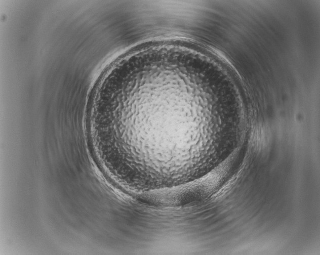 X0000057090943200509091310