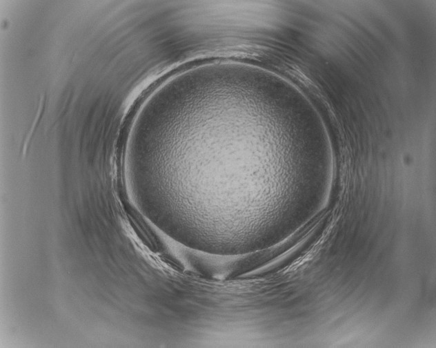 X0000057090944200509091310