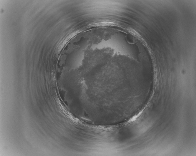 X0000057090945200509091310