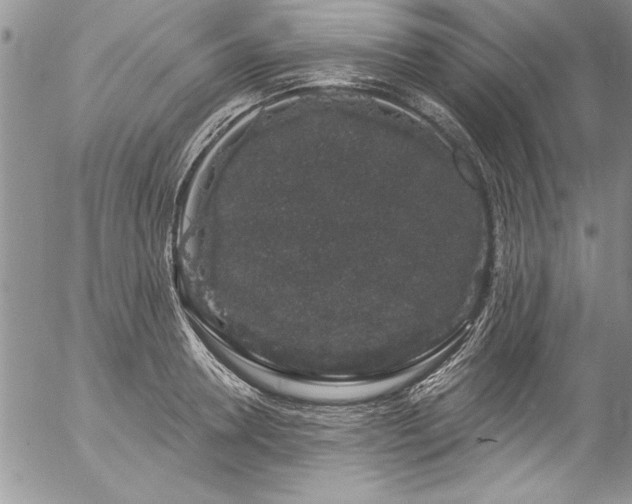 X0000057090946200509091310