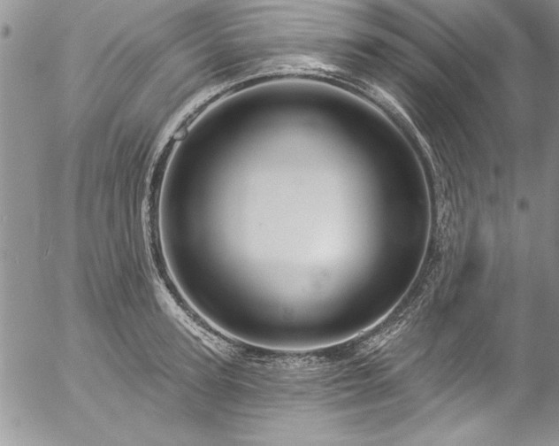 X0000057090947200509091310