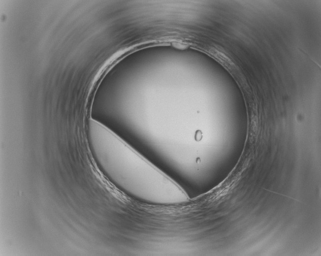 X0000057090948200509091310