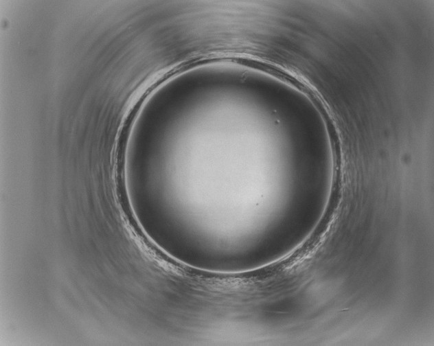 X0000057090949200509091310