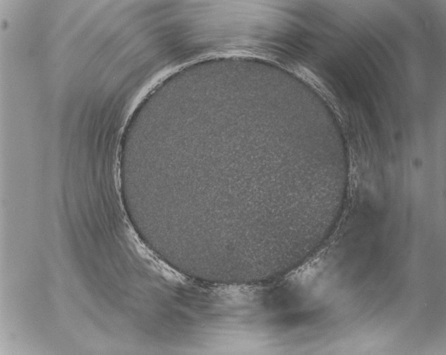 X0000057090950200509091310