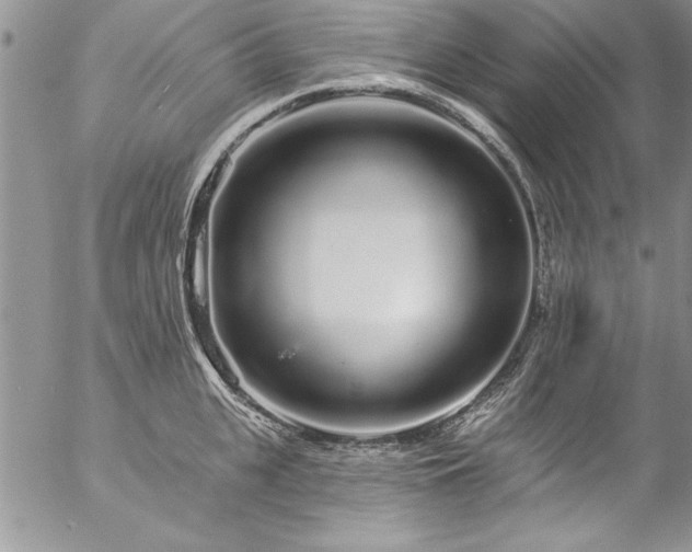 X0000057090951200509091310