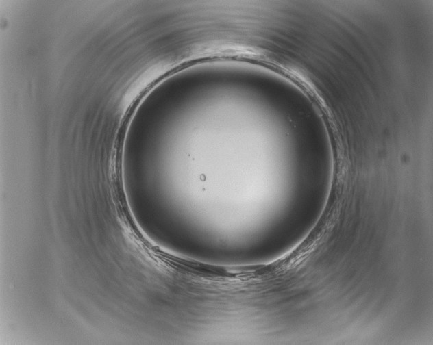 X0000057090952200509091310