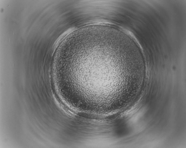 X0000057090954200509091310