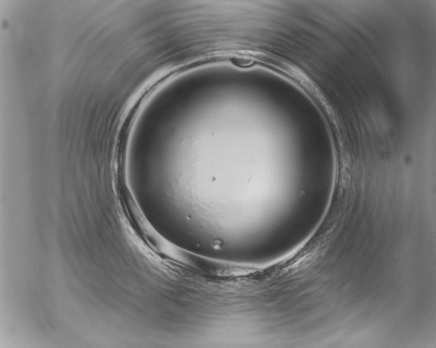 X0000057090955200509091310