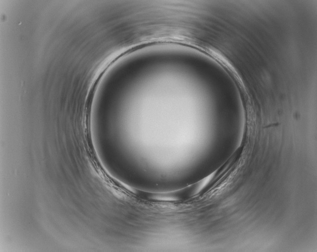 X0000057090956200509091310