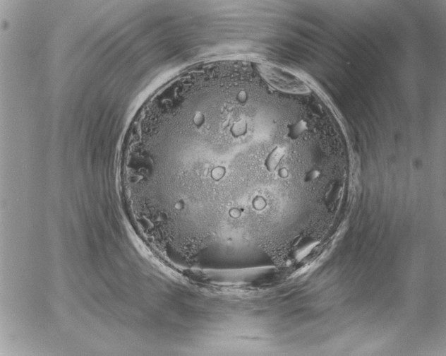 X0000057090957200509091310