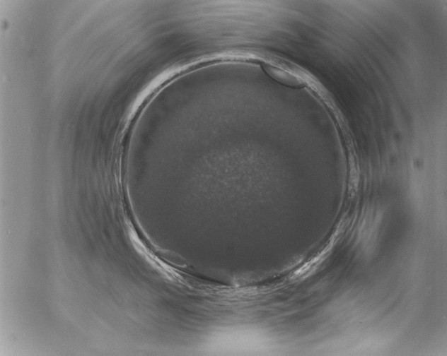 X0000057090958200509091310