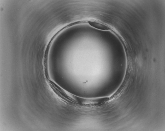 X0000057090959200509091310