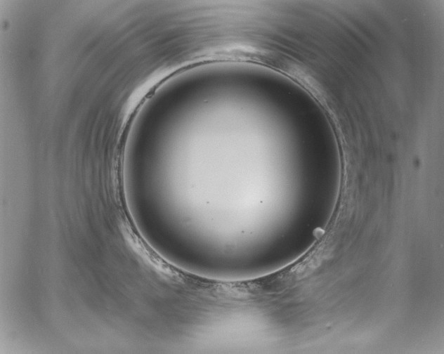 X0000057090960200509091310