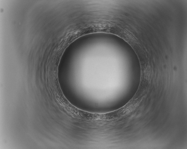 X0000057090961200509091309