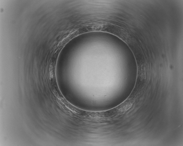 X0000057090962200509091309