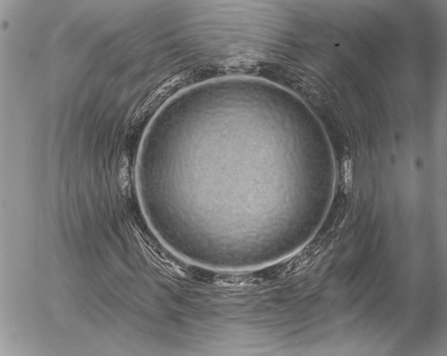 X0000057090963200509091309