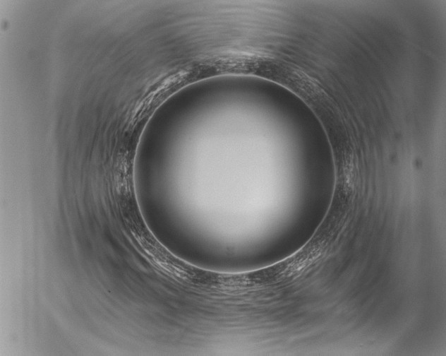 X0000057090964200509091309