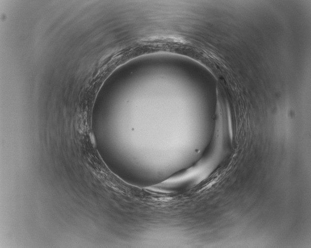 X0000057090965200509091309