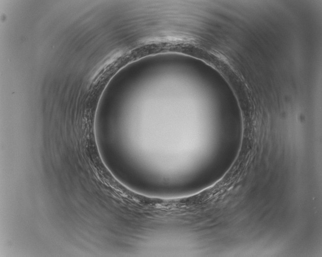 X0000057090967200509091309