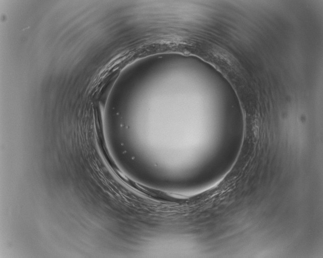 X0000057090968200509091309