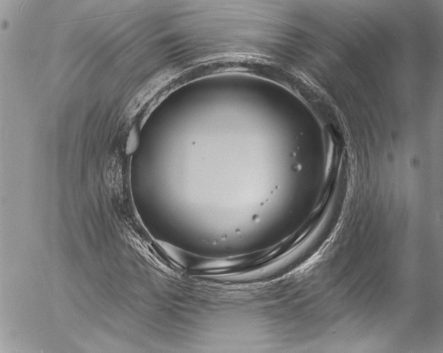 X0000057090969200509091309