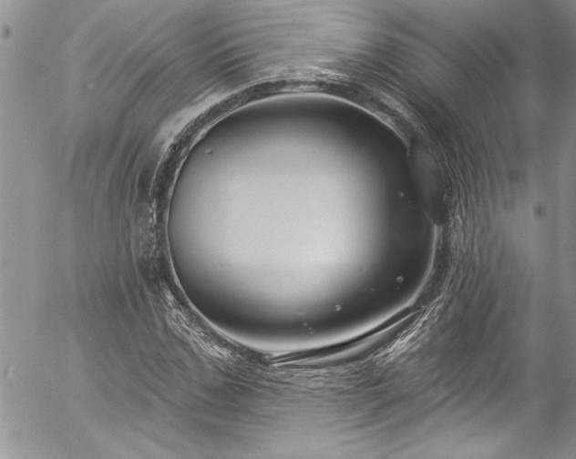 X0000057090971200509091309