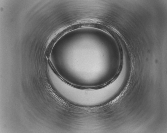 X0000057090973200509091309