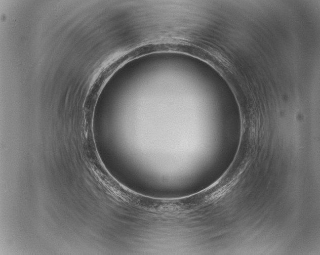 X0000057090974200509091309