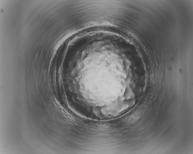 X0000057090975200509091309