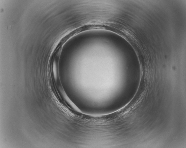 X0000057090976200509091309