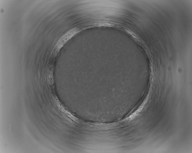 X0000057090977200509091309