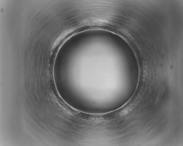 X0000057090978200509091309