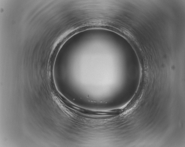 X0000057090981200509091309