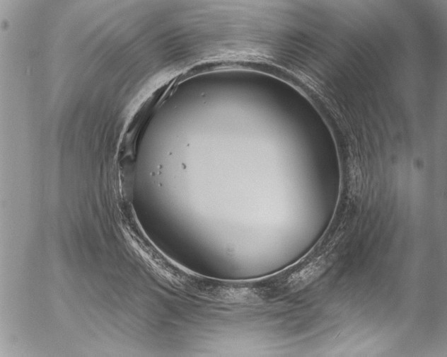 X0000057090982200509091309