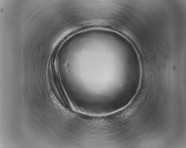 X0000057090983200509091309