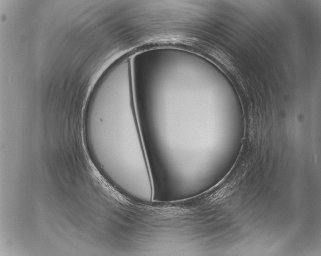 X0000057090984200509091309