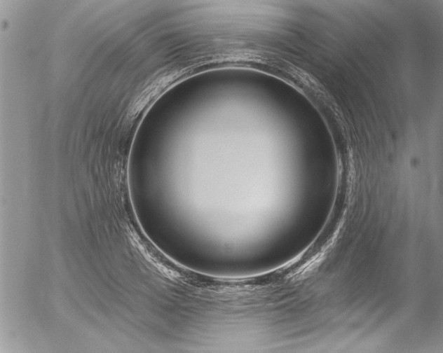 X0000057090985200509091309