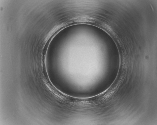 X0000057090986200509091309