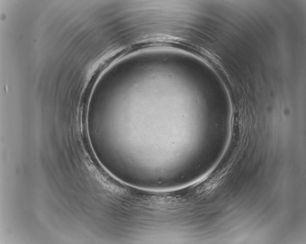 X0000057090987200509091309