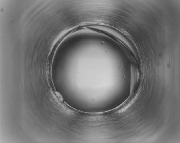 X0000057090989200509091309