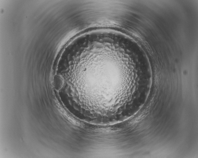 X0000057090990200509091309