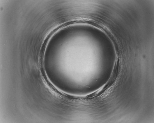 X0000057090991200509091309