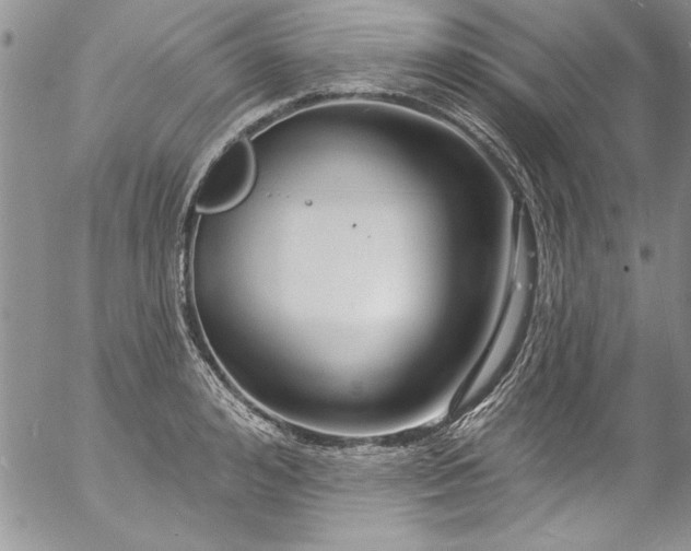 X0000057090992200509091309