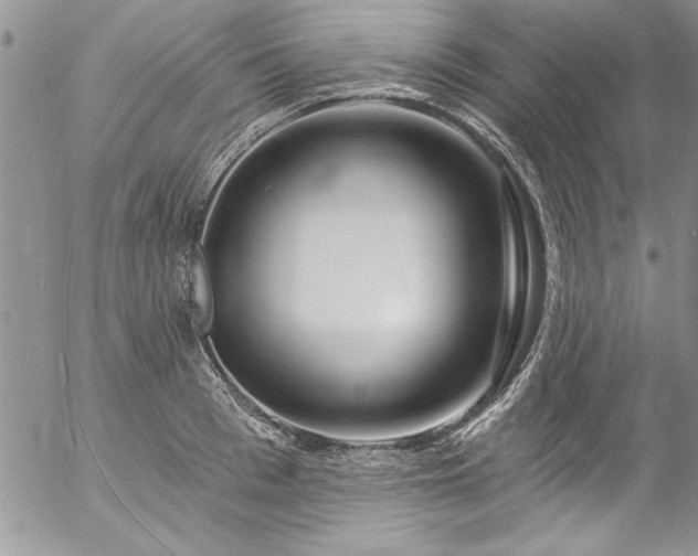 X0000057090993200509091309